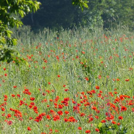 Au Ptit Coquelicot Villa Houyet Eksteriør bilde